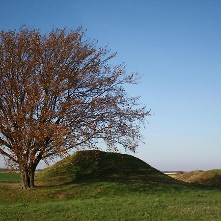 Hoeve Jadoul Gingelom Экстерьер фото
