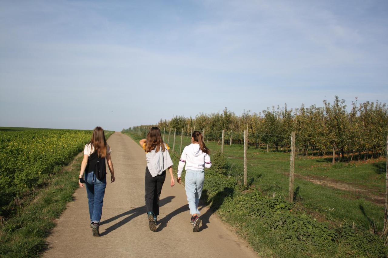 Hoeve Jadoul Gingelom Экстерьер фото